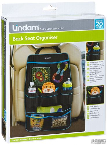 Lindam back seat organiser.jpg