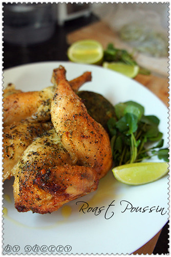 Roast Poussin 626.jpg