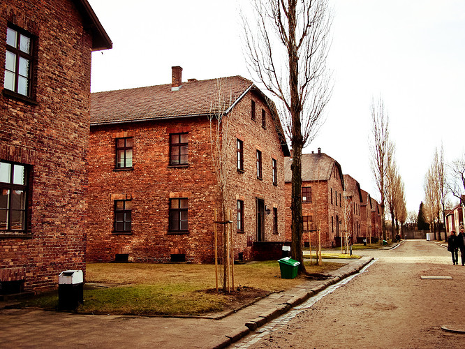 _1022149.JPG