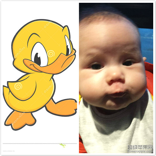 duck face2.jpg