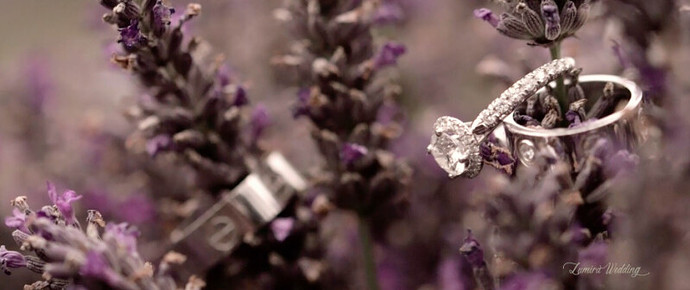 lumira wedding lavender 7.jpg