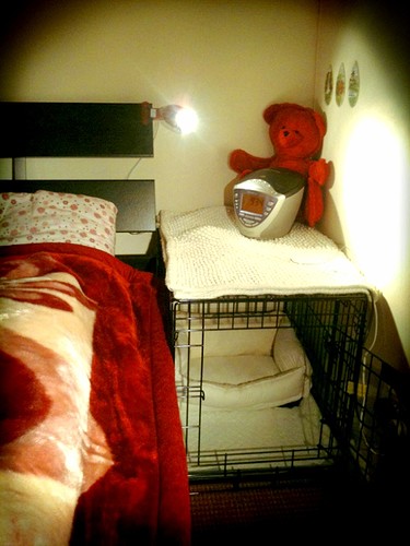 Cornor's cozy cage.JPG