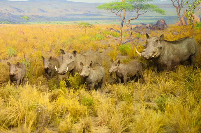 20120110_Xie_Greenland_00005.jpg