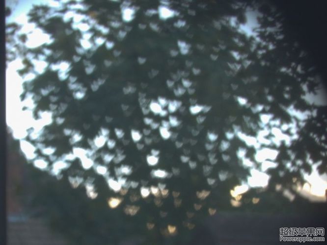 _1090068.jpg