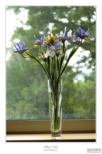 Flower Vase_05_Jun.jpg