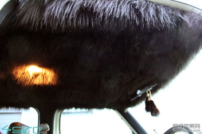 0599.jpg
