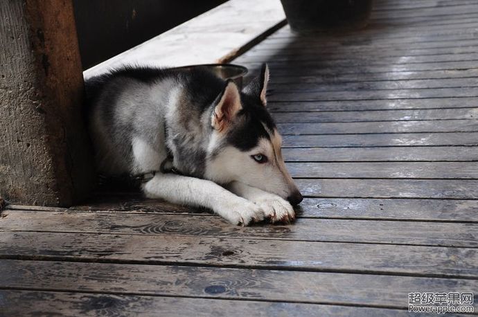 DSC_0989.JPG