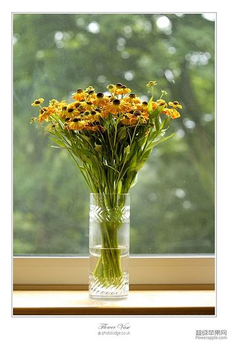 Flower Vase_14_Aug.jpg