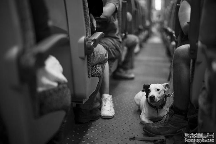 _MG_0137.jpg