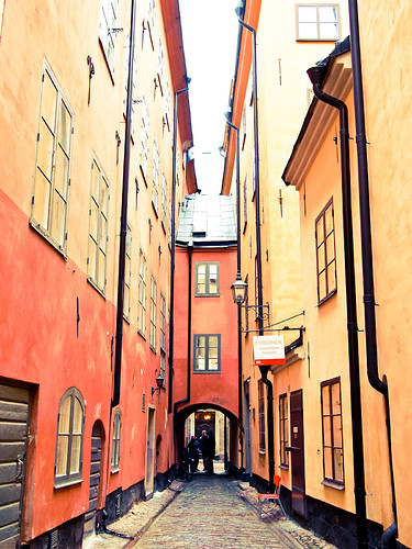 _C291791.JPG