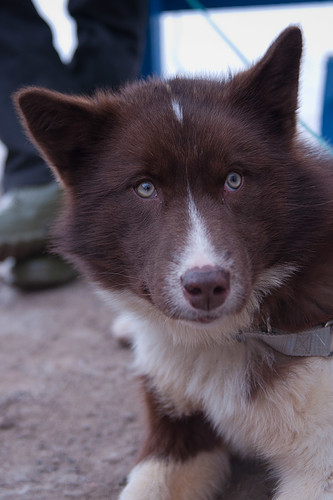 20120318_Xie_Greenland_00071.jpg