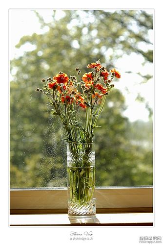 Flower Vase_01_May.jpg