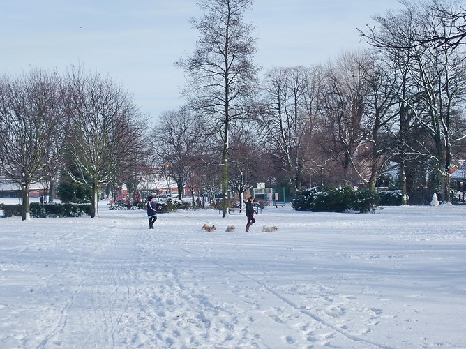 DSCF4065.JPG
