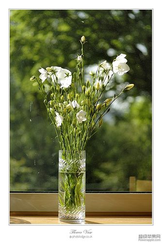 Flower Vase_04_Jun.jpg