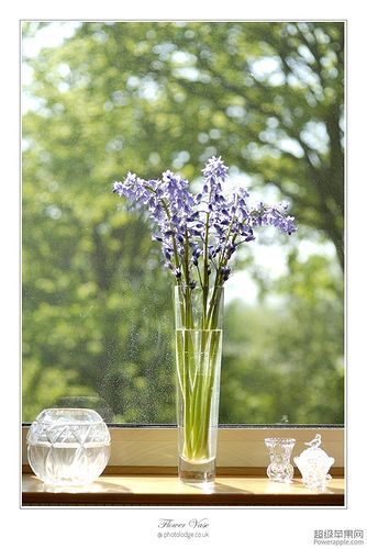 Flower Vase_03_May.jpg