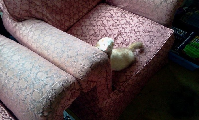 2011-04-02 14.41.54.jpg