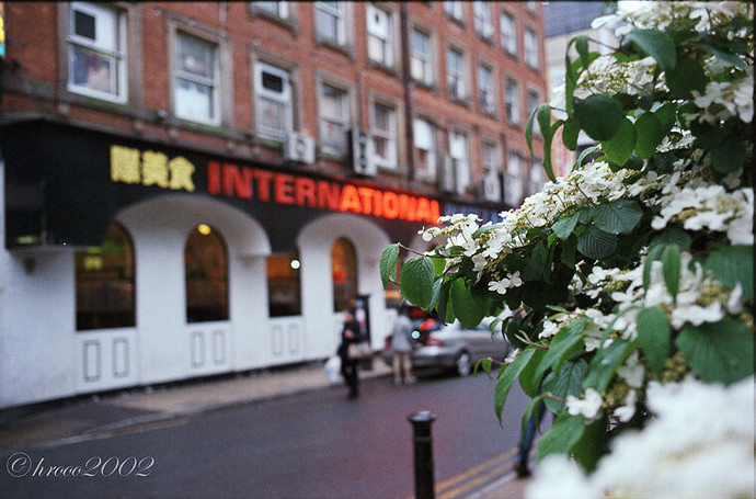 2013-06-03  Superia200-1.jpg