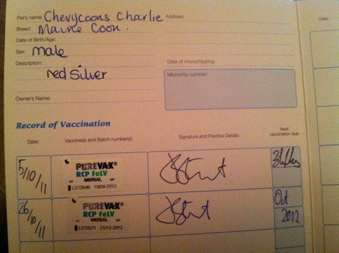 Charlie vaccination.jpg