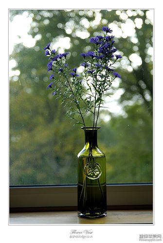 Flower Vase_17_Oct.jpg