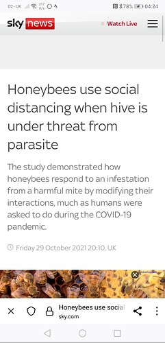 Screenshot_20211030_042406_org.mozilla.firefox