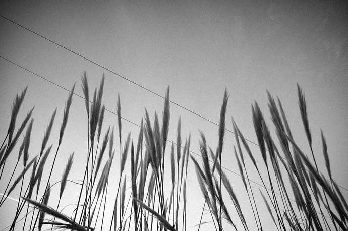L1000119.jpg
