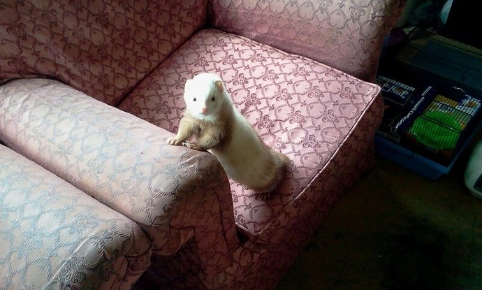 2011-04-02 14.42.13.jpg