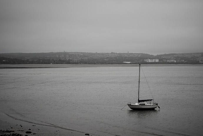 P1080640.jpg