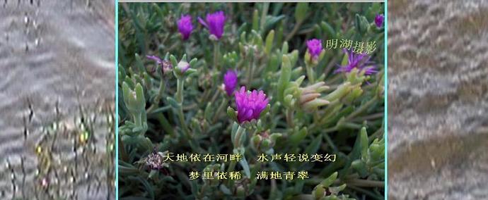 360截图20120201054300046.jpg
