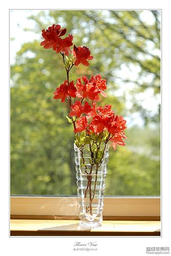 Flower Vase_02_May.jpg