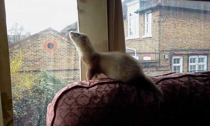 2011-04-02 14.48.27.jpg