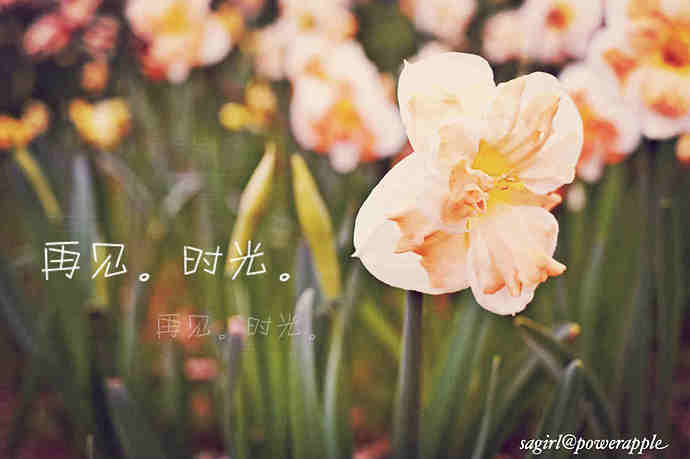 DSCF2819_meitu_2.jpg