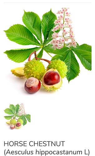 Screenshot_2020-10-24-12-18-13-724_com.android.chrome