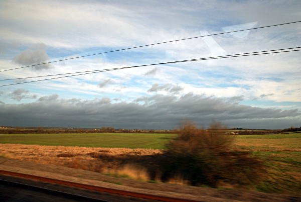 DSC_4681.JPG
