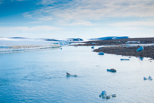 20110703_Xie_Greenland_00146.jpg