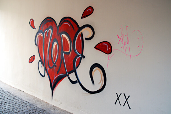 DSC_5564.JPG