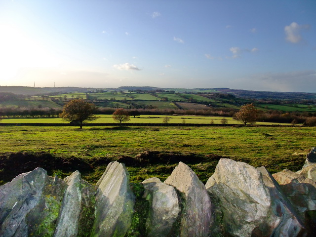 DSCF3906.JPG
