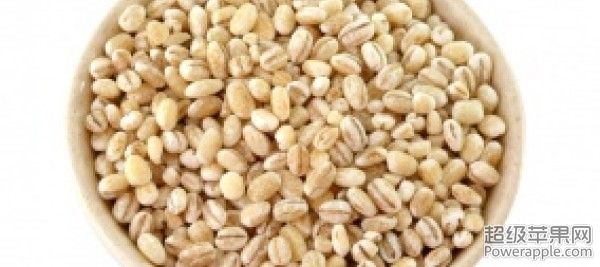 barley[2].jpg