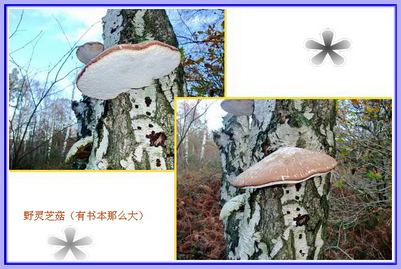 PICT0001.jpg