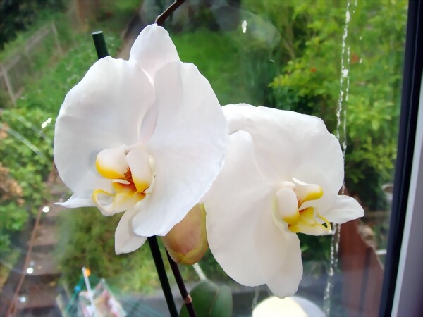 DSC00390.JPG