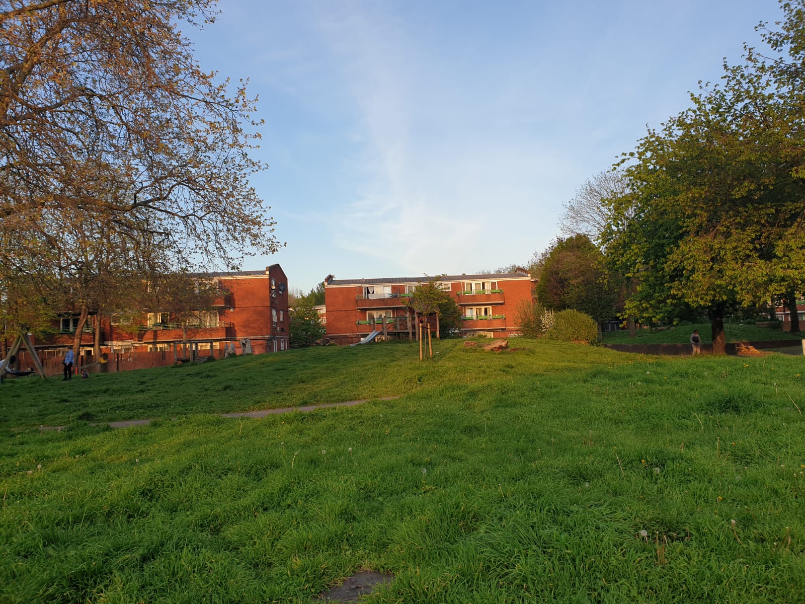 Park View-4