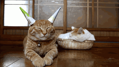 party iftm.gif