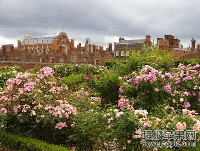 Hampton Court.JPG
