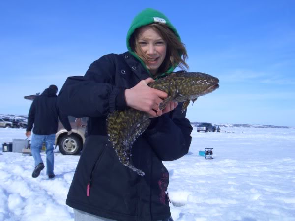 FISHBURBOT006.jpg