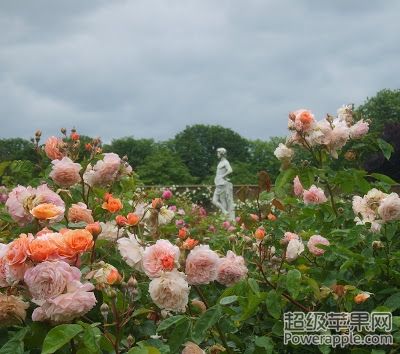 S8002727.JPG