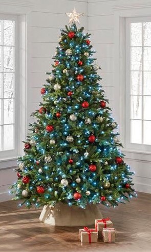 featured-christmas-trees