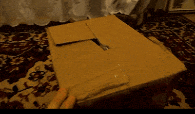 q0ivEFd.gif