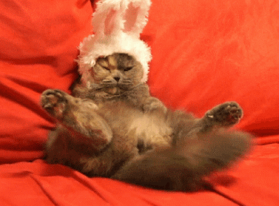 face lolsofunny tumblr.gif