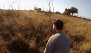 hug amy.gif