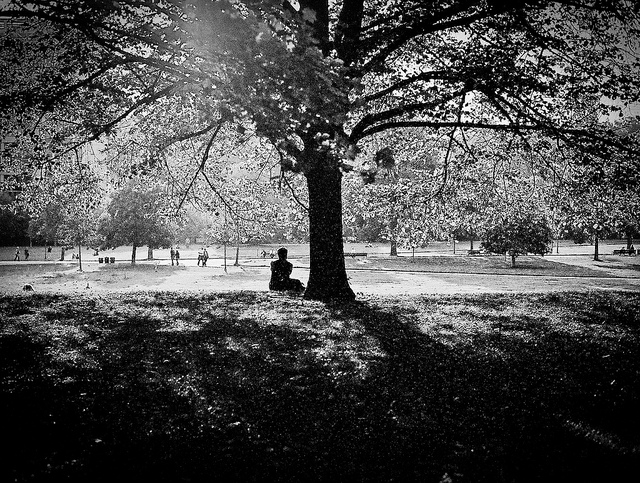 6261620582_fa5d6a0716_z.jpg
