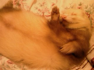IMAG0025.jpg